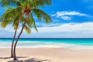 Sejur plaja Punta Cana, Republica Dominicana, 11 zile - iulie 2021