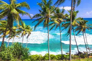 Oferta zilei - Sejur plaja Sri Lanka, 9 zile - 26 noiembrie 2021