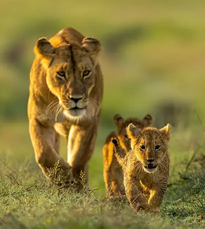 Punem siguranta ta pe primul plan