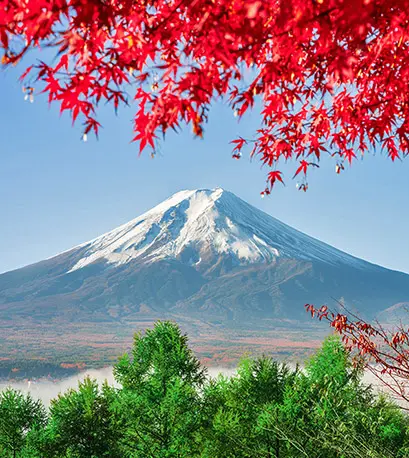 Am creat programe pentru tine