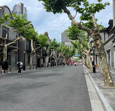 May be an image of 8 people and street