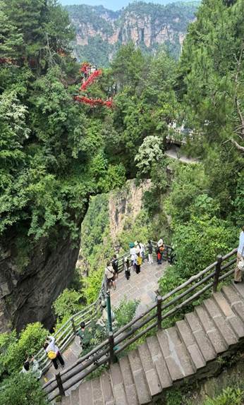 May be an image of 8 people and cable car
